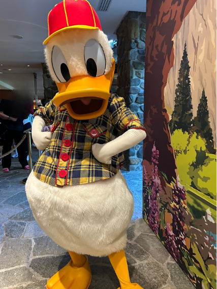 Image of Donald duck in a checked yellow shirt and yellow cap