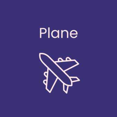 Simple outline of a plane on a purple background, with the word "Plane" above it.
