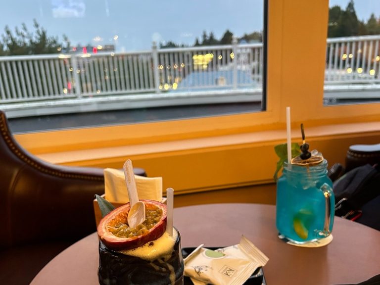 Two refreshing cocktails on a table, with a view of the lake outside.