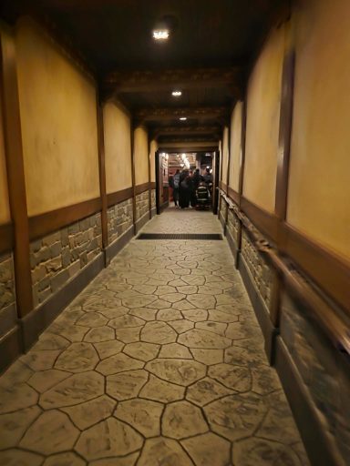 The wheelchair access queue A narrow, dimly lit corridor with stone walls and wooden accents.