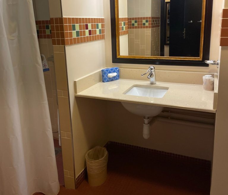 Image of the sink area in the accessible bathroom with a roll under sink in cream, a large dark wood framed mirror and tissues and a waste paper bin
