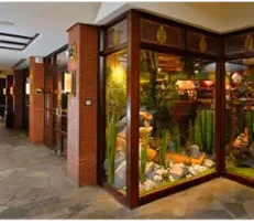 The display window for the shop, with glass, dark wood, an outdoor scene and flagstone flooring