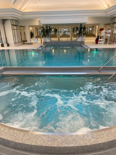 Indoor swimming pool with a hot tub, surrounded by glass doors and plants.