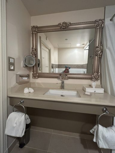 Bathroom with a large decorative mirror, sink, and towels on racks.